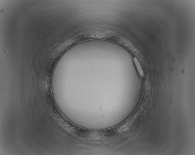 X0000082690305200702091704