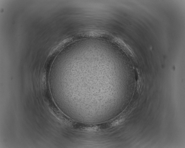 X0000082690306200702091704