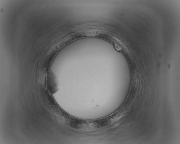 X0000082690307200702091704