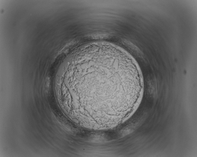 X0000082690308200702091704