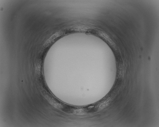 X0000082690309200702091704