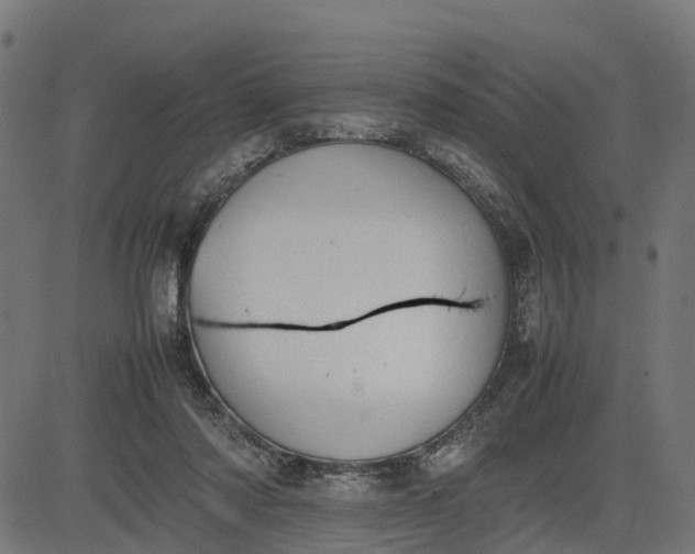 X0000082690310200702091704