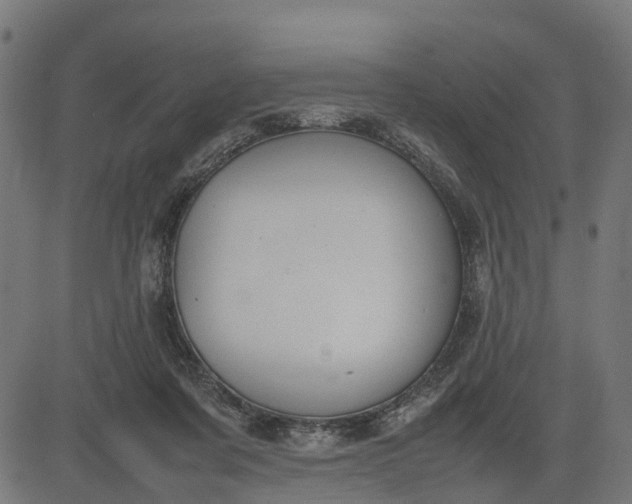 X0000082690311200702091704