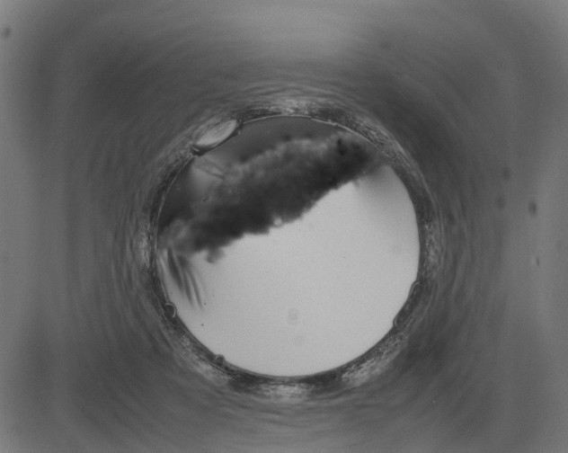 X0000082690313200702091704