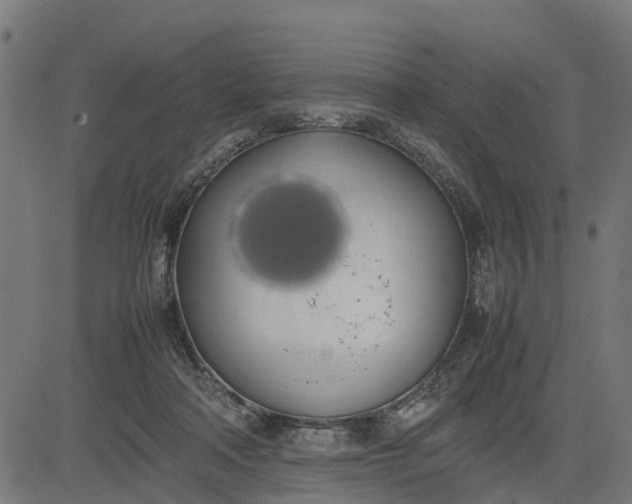 X0000082690314200702091704