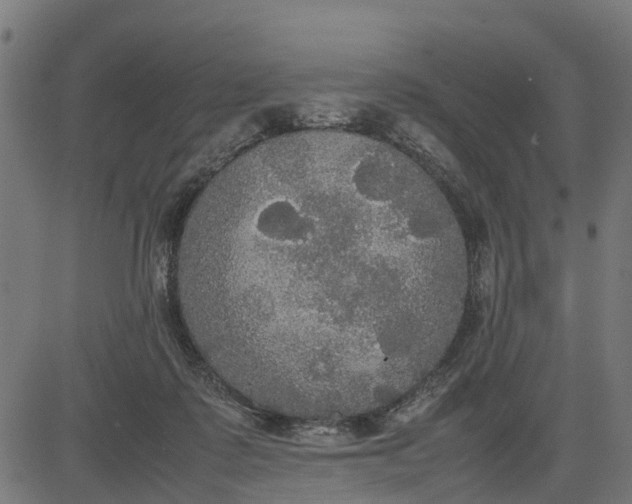 X0000082690315200702091704