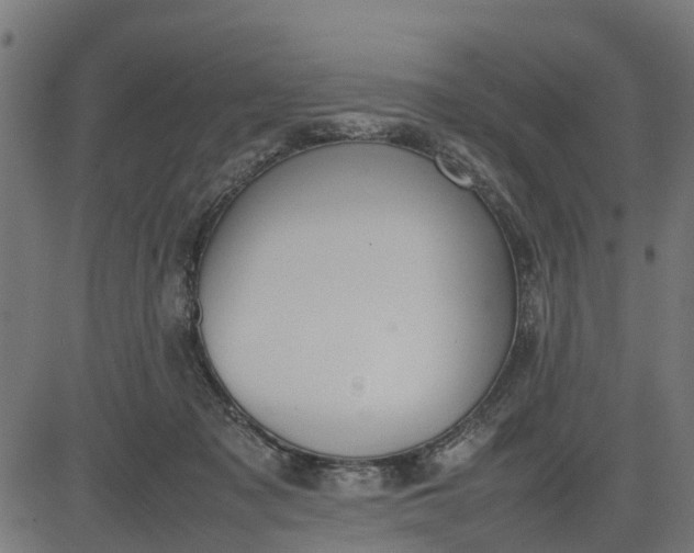 X0000082690317200702091704