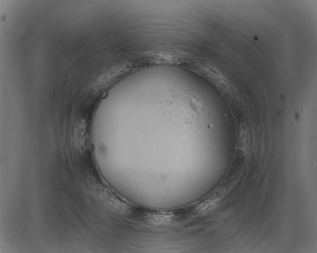 X0000082690318200702091704