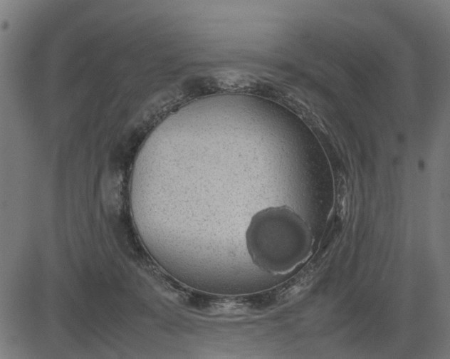 X0000082690319200702091704