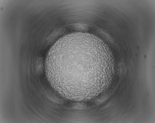 X0000082690320200702091704