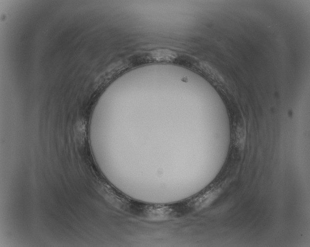 X0000082690321200702091704