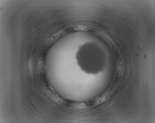 X0000082690322200702091704