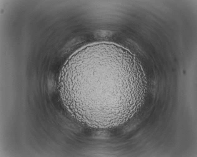 X0000082690324200702091704