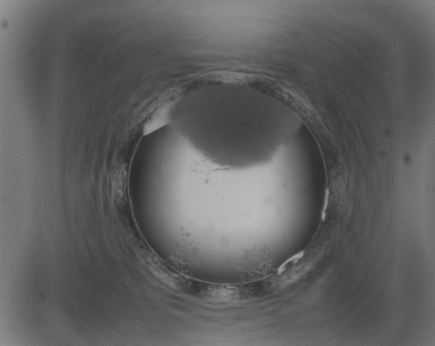 X0000082690325200702091704