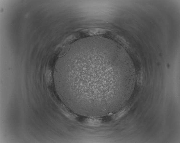 X0000082690327200702091704