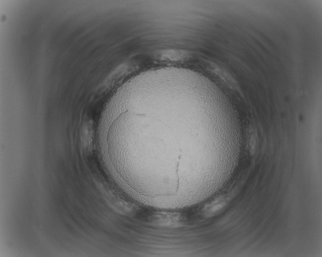 X0000082690328200702091704