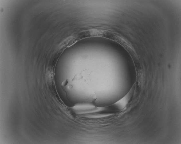 X0000082690329200702091704