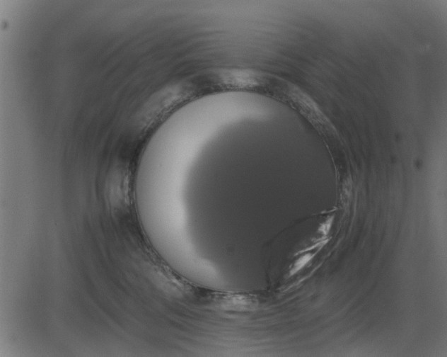 X0000082690330200702091704