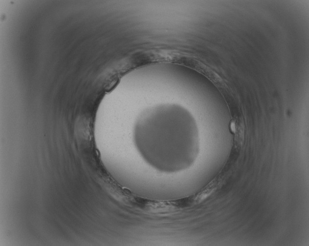 X0000082690331200702091704