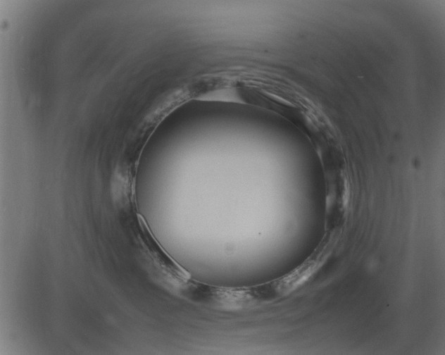 X0000082690333200702091704