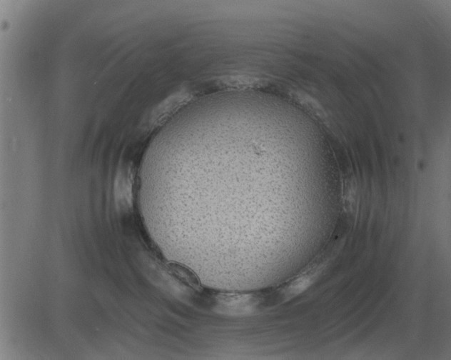 X0000082690334200702091704