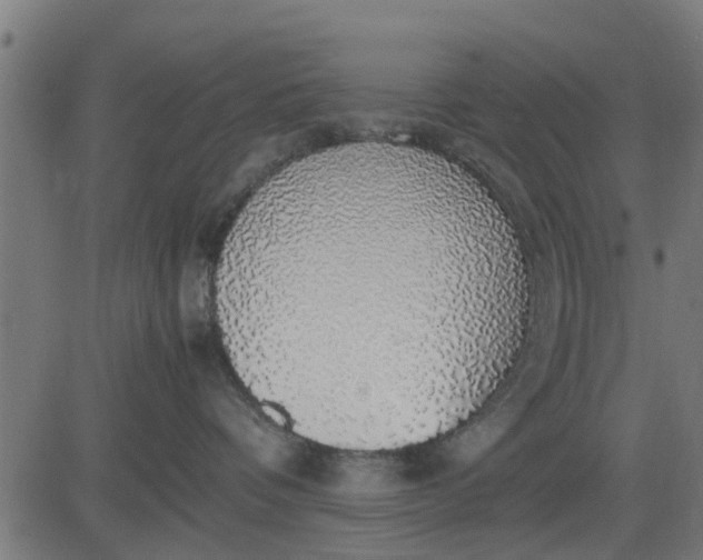 X0000082690336200702091704