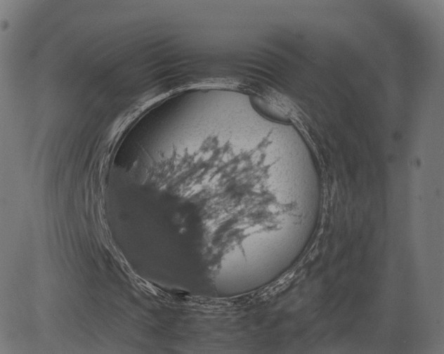 X0000082690337200702091703