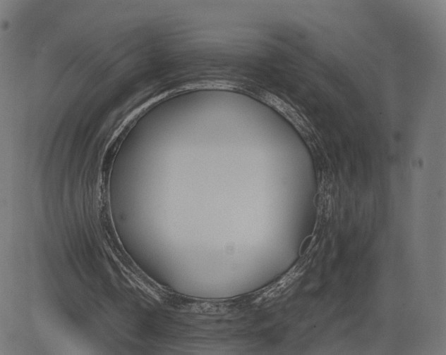 X0000082690338200702091703