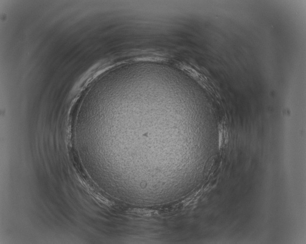 X0000082690339200702091703