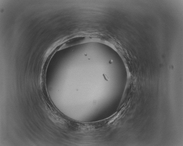 X0000082690340200702091703