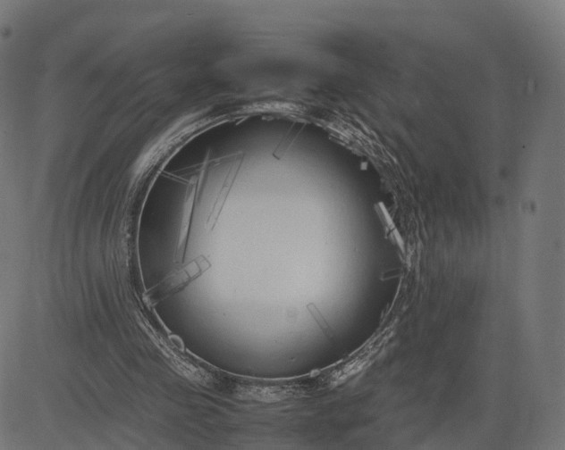 X0000082690341200702091703