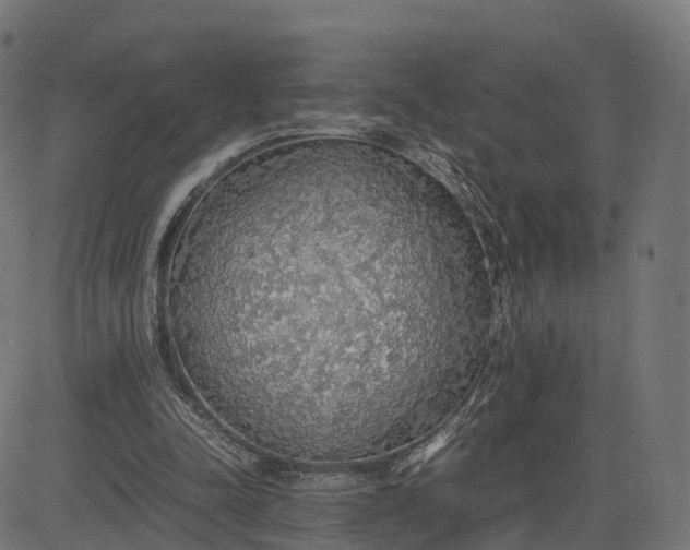 X0000082690342200702091703