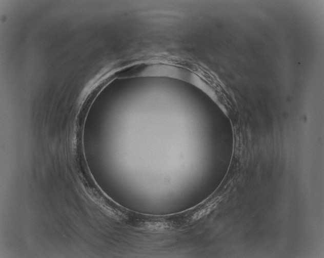 X0000082690344200702091703