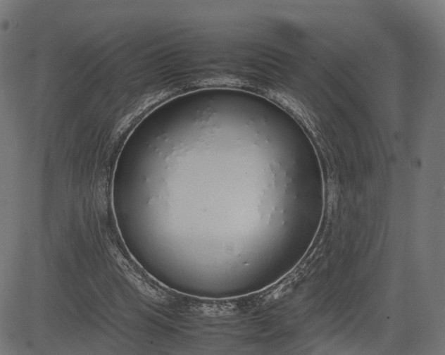 X0000082690345200702091703