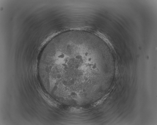 X0000082690346200702091703