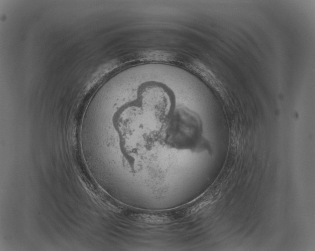 X0000082690347200702091703