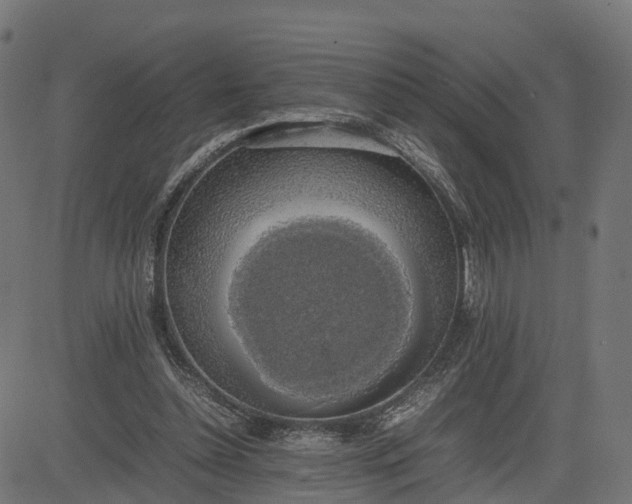 X0000082690348200702091703