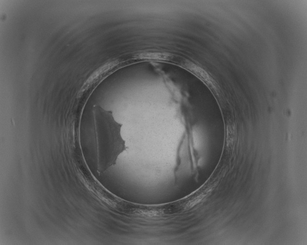 X0000082690349200702091703