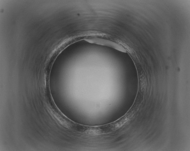 X0000082690350200702091703