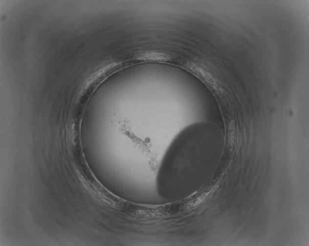 X0000082690351200702091703