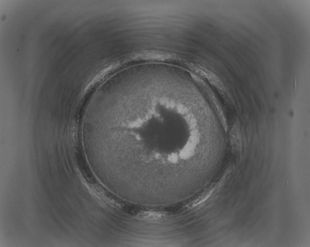 X0000082690352200702091703