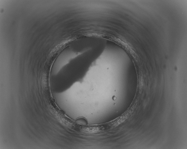 X0000082690353200702091703