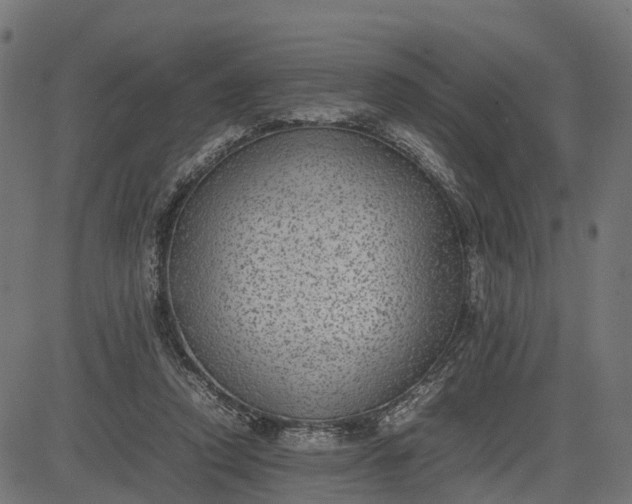 X0000082690354200702091703