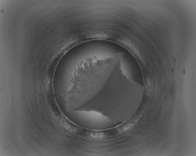 X0000082690355200702091703