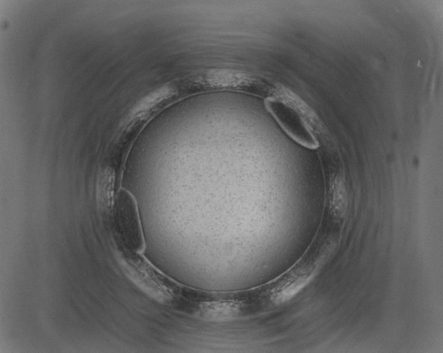 X0000082690356200702091703