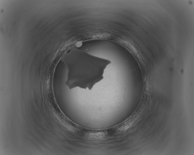 X0000082690357200702091703