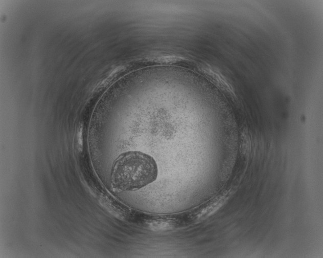 X0000082690358200702091703