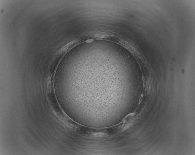 X0000082690360200702091703