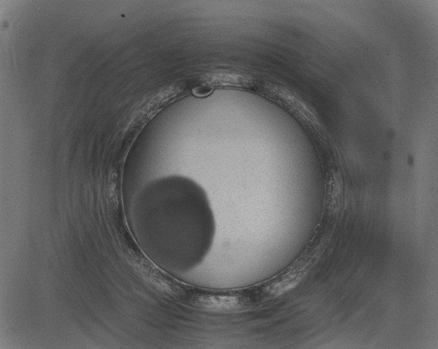 X0000082690361200702091703