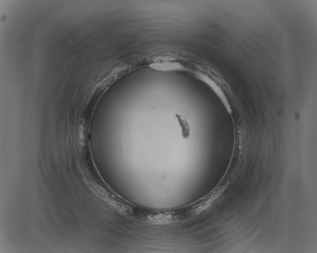 X0000082690362200702091703